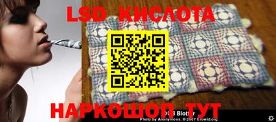 индика Ставрополь