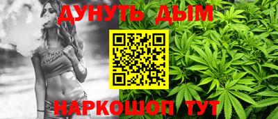 индика Ставрополь