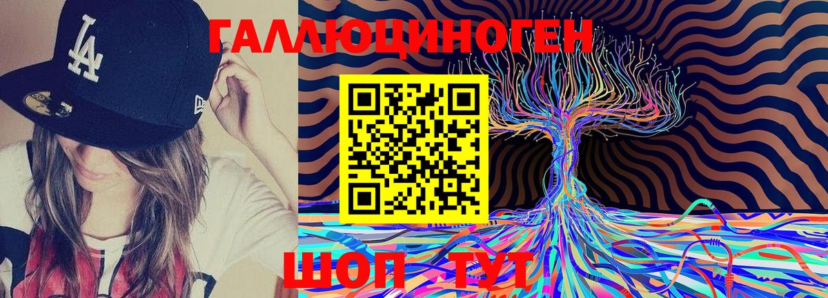 Галлюциногенные грибы Psilocybe  Вход с VPN  Курчатов 